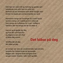 Det blåse på deg